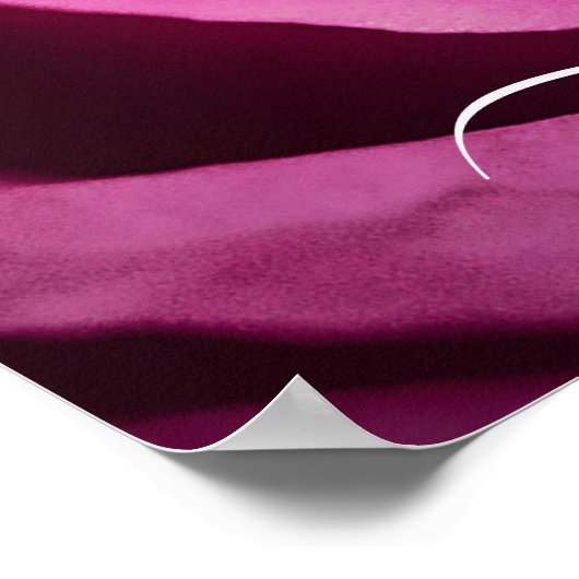 Poster Elegant Rose Rose Flower Photo Ajouter un nom Post (Coin)