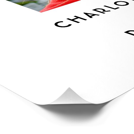 Poster Élégant Script Multi Photo Graduate (Coin)