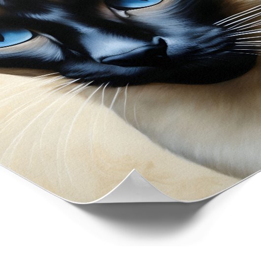 Poster Elegant Siamese Cat (Coin)