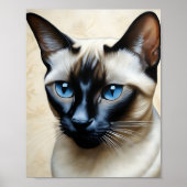 Poster Elegant Siamese Cat (Devant)