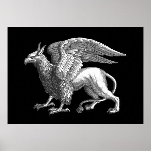 Poster Elégant Silver Grey / Grey Griffin Légendaire Bête (Devant)
