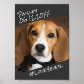 Poster Élégant Simple Moderne Chic Mémorial de Chien Noir (Devant)