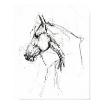 Elégant Sketch Portrait Cheval - Premium