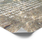 Poster Elégant Starfish Blue Beach Wedating Chart (Coin)