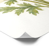 Poster Elégante aquarelle botanique d'anémones blanches (Coin)