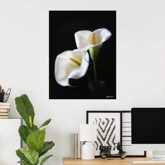 Poster Elégante Calla Lily Fleurs 13 (Bureau à domicile)