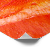 Poster Élégante citation de fleurs de pavot Coeur gracieu (Coin)