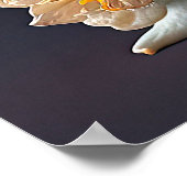 Poster Élégante Fleur d'Amaryllis Blanc Orange (Coin)