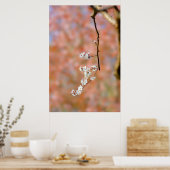 Poster Élégante floraison d'abricots japonais (Cuisine)