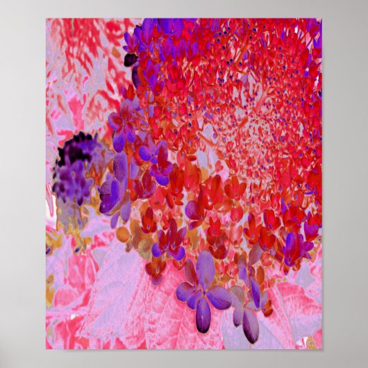 Poster Élégante Hydrangée violette et orange Limelight (Devant)