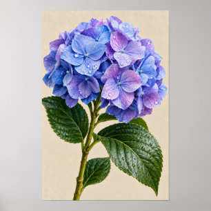 Poster Élégante œuvre d'art murale florale d'hortensia bl