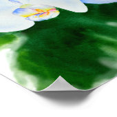 Poster Elégante peinture d'orchidée tropicale blanche (Coin)