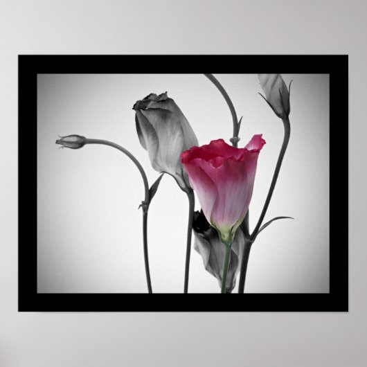 Poster Élégante rose rose (Devant)