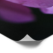 Poster Élégante rose rose gros plan avec la mâchoire (Coin)