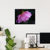 Poster Élégante rose rose gros plan avec la mâchoire (Bureau à domicile)