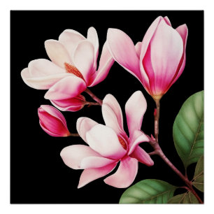 Poster Élégante Simple Fleur Rose Art Floral