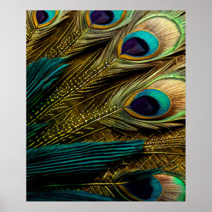 Poster Elégante Turquoise Abstraite Plumes Peacock Or