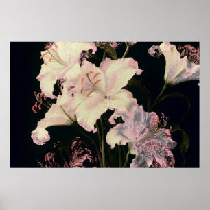 Poster Élégants lys blancs sur fond noir floral