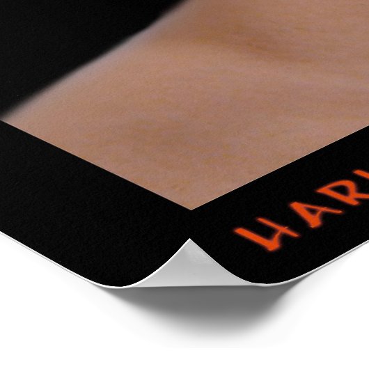 Poster Élément Arlequin (Coin)