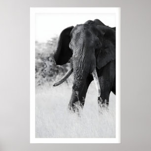 Poster Élément d'impression éléphant noir et blanc - Mini