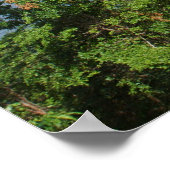 Poster éléments du paradis (Coin)