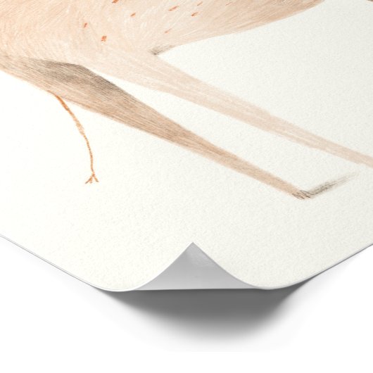 Poster Eléphant (Coin)