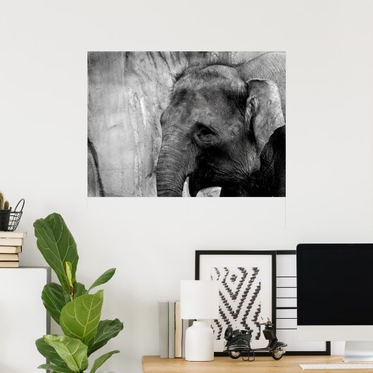 Poster éléphant (Bureau à domicile)