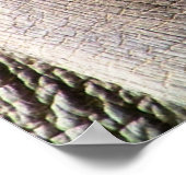 POSTER ÉLÉPHANT (Coin)