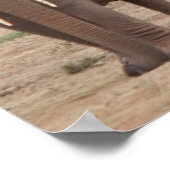 Poster Eléphant (Coin)