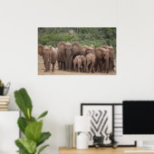 Poster Eléphant (Bureau à domicile)
