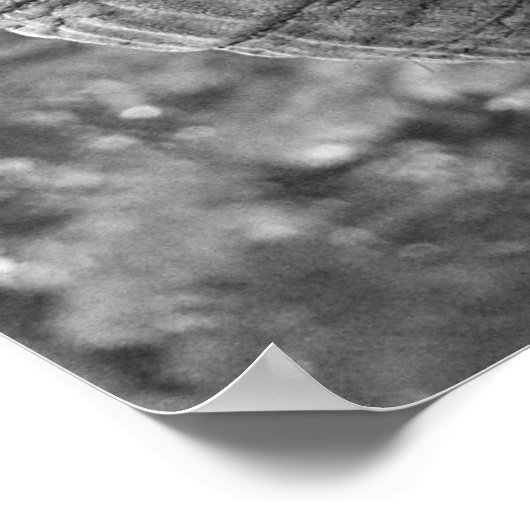 Poster Eléphant (Coin)