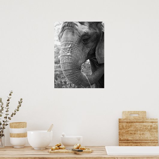 Poster Eléphant (Cuisine)