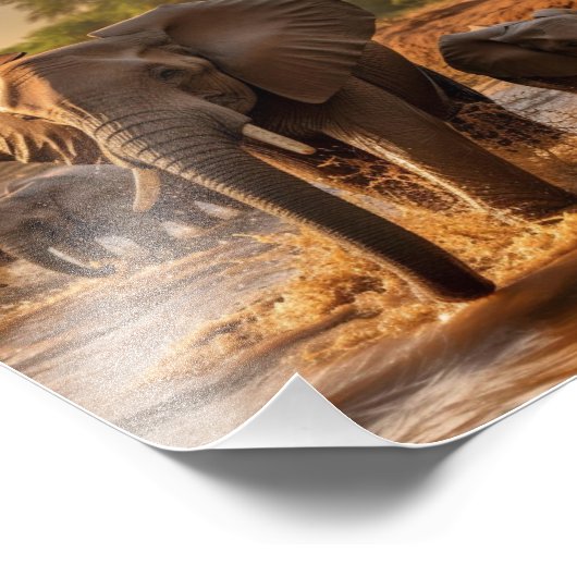 Poster éléphant (Coin)