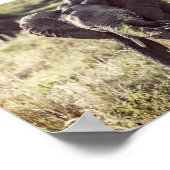 Poster Elephant (Coin)