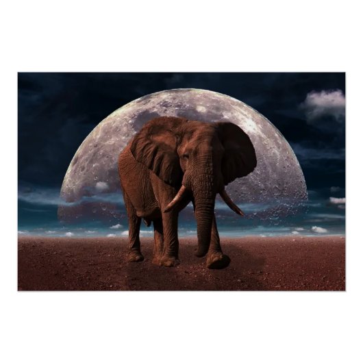 Poster Eléphant (Devant)