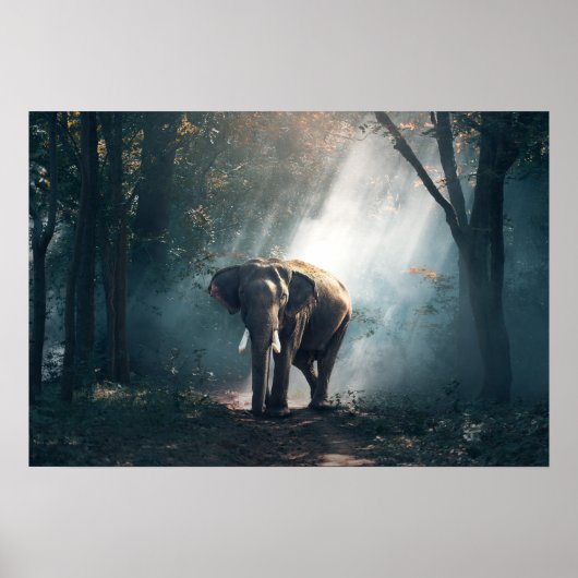 Poster éléphant-1822636 (Devant)