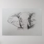 Poster Elephant 2011 (Devant)