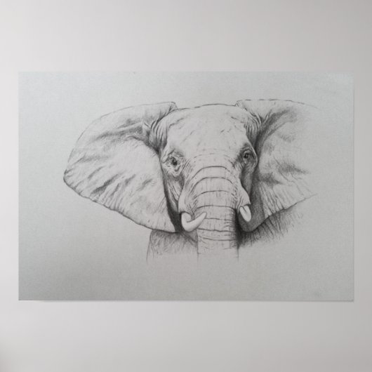 Poster Elephant 2011 (Devant)