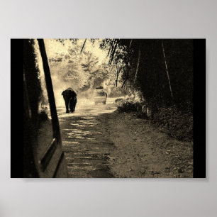 Poster Eléphant à flâner
