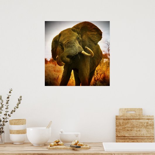 Poster Eléphant africain (Cuisine)