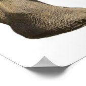 Poster Eléphant africain isolé (Coin)