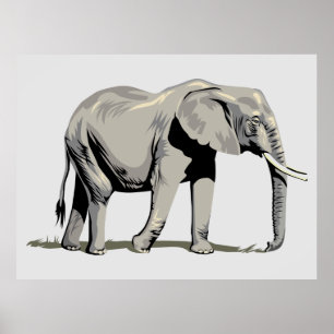 Poster Eléphant Animé