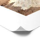 Poster éléphant asiatique (Coin)