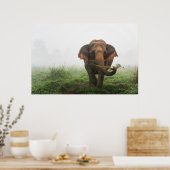 Poster Eléphant asiatique en Thaïlande (Cuisine)