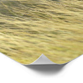 Poster Eléphant bébé (Coin)