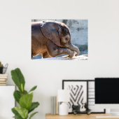 Poster Eléphant bébé (Bureau à domicile)