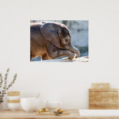 Poster Eléphant bébé (Cuisine)