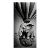 Elephant bébé dans un ballon à air chaud