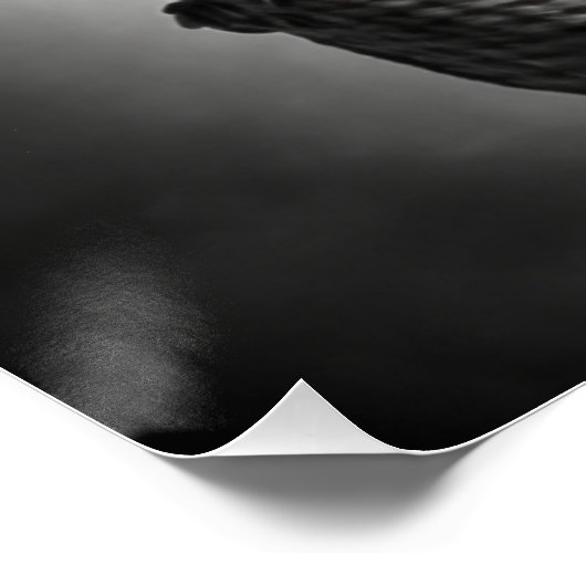 Poster Elephant bébé dans un ballon à air chaud (Coin)