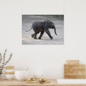 Poster Eléphant bébé doux Kibali (Cuisine)